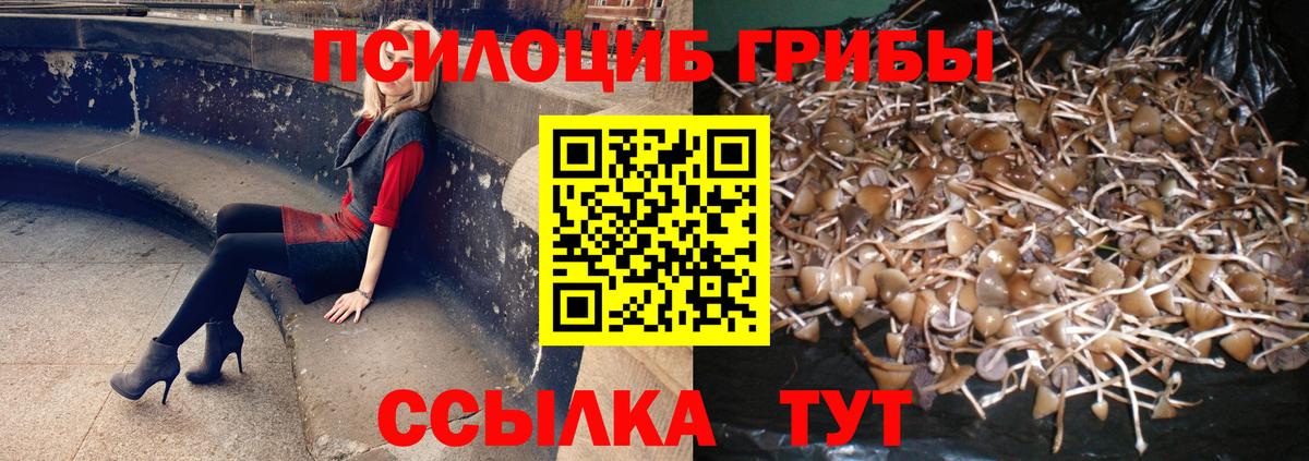 Кулебаки  где найти наркотики  Вход с VPN  Псилоцибиновые грибы прущие грибы  Псилоцибиновые грибы Magic Shrooms 