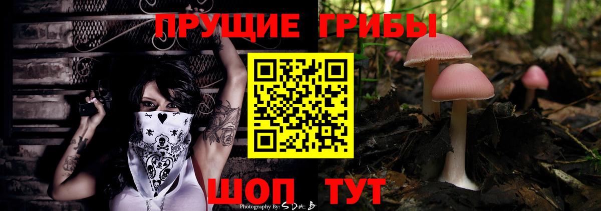 Псилоцибиновые грибы Cubensis Кулебаки